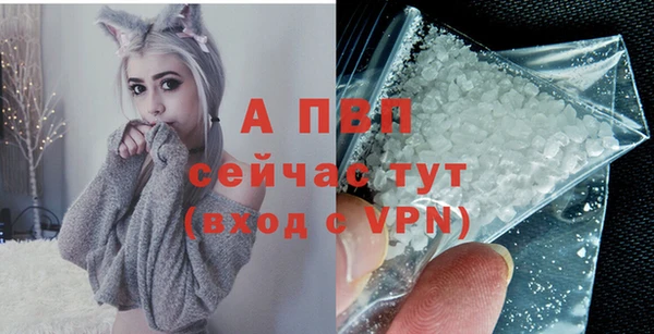 дживик Корсаков