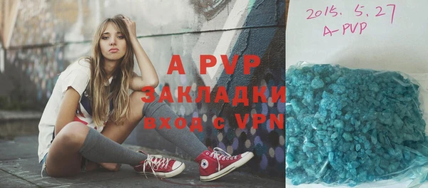 дживик Корсаков